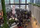 Asalt la reduceri cu ocazia inagurării unui nou mall din Pitești - VIDEO