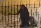 Scene șocante în mijlocul străzii: Măicuță filmată în timp ce cară un cadavru în geamantan