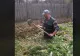 Lecție impresionantă de viață: este nevăzător și nu are picioare, dar își lucrează pământul VIDEO