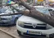 Atenție, cad copaci în București! Alertă emisă de ISU, este cod PORTOCALIU de vânt - FOTO