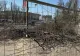Imagine inedită de pe un bulevard din Capitală. Toți copacii au dispărut peste noapte