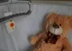 Copii în stare gravă la spital, după ce mama a dat paturile cu soluție pentru purici