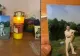 Concluziile anchetei în explozia hidrocentralei din Italia. La ce lucra românul și echipa sa, înainte de a-și găsi sfârșitul