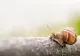 Vremea 28 aprilie. Temperaturi plăcute în ziua de Florii, în aproape toată țara