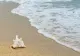 Noua taxă pentru turiștii de pe litoralul românesc. Tot ce trebuie să știe românii care aleg Eforie, Mangalia sau Saturn