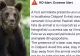Urșii se apropie de București. Mesaj RoAlert pentru avertizarea populatiei din localitatile Ciolpani si Snagov