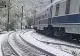 Iarna a revenit în forță, după temperaturi de 30 de grade! Copac doborât pe șine din cauza zăpezii, oameni blocați în tren
