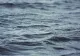 Descoperire uluitoare pe fundul mării. A fost identificată o creatură cu 170 de ochi