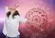 Ce întrebare să nu pui niciodată zodiilor. Riști să faci o gafă și să rupi relația de prietenie 