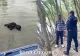 Indian înecat în Prut când încerca să ajungă ilegal în România. Se afla alături de un amic care l-a părăsit când a văzut incidentul