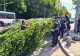 Sectorul 4 se ”împădurește” - FOTO