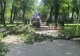 Tânără internată în stare gravă, după ce a fost lovită de o creangă ruptă, într-un parc administrat de Clotilde Armand