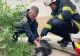 Incendiu într-un bloc din Pitești: 10 persoane și un cățel au fost evacuați de pompieri