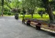 Parcurile din Capitală intră în reabilitare. Nicușor Dan se laudă pe Facebook cu viitoarele realizări