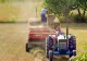 Recolte timpurii din cauza încălzirii globale. Ce spun fermierii