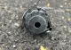 Poliția, noi detalii despre obiectul asemănător unei grenade găsit la poarta vilei unde locuiește mama Andreei Tonciu