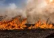 Incendiu masiv în Delta Dunării. Autoritățile intervin de urgență