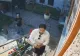 Vecini terorizați de clanurile de romi din Timișoara. Copiii și adulții s-au năpustit în curțile oamenilor și au distrus totul în calea lor