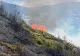 Incendiu devastator în Munții Rodnei. Ard șase hectare de pășuni și pădure