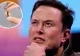 Implantul cerebral al lui Elon Musk s-a stricat în creierul pacientului. Neuralink fost nevoit să recunoască, într-un final