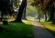 Ce înseamnă dacă locuiești în apropierea unui parc sau loc de joacă. Cât de afectat este creierul