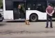 Dosar penal pentru o tânără din Iași care și-a lovit cățelul cu geanta. Val de reacții în spațiul virtual - VIDEO