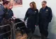 Flatulența vacilor, problema care nu îi dă pace lui Bill Gates. Acesta dă 26,5 milioane de dolari pentru un vaccin care să oprească gazele bovine