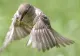 Temperaturi peste cele obişnuite, începând de la jumătatea lunii mai. Unde va continua, totuși, să plouă: prognoza ANM pe o lună