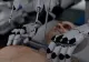 Transplantul de CAP ar putea deveni realitate. O echipă de specialiști a prezentat un scenariu care dă fiori - VIDEO