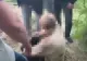 Descoperire șocantă! Bărbat înjunghiat și îngropat de viu, găsit în viață după 4 zile VIDEO
