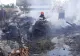 Incendiu nimicitor în Giurgiu. 100 de pui și 3 câini au murit după ce 2 butelii au explodat - VIDEO