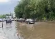 Prăpăd în București în urma fenomenelor meteo: copaci căzuți, case și străzi INUNDATE