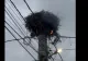 Un cuib de berze a luat foc. Pompierii au intervenit de urgență