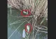 Mai mulţi peşti morţi, găsiţi în lacul Bistreţ din județul Dolj! Apele Române și DSV caută răspunsuri: s-au luat probe de apă