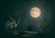 Horoscop 10 august 2024. Schimbări în sfera relațiilor pentru anumiți nativi. Previziuni pentru toate zodiile