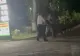 Scene ireale la Turnu Măgurele. Un consilier local PSD s-a luat la bătaie cu un elev - VIDEO