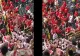 VIDEO - Bătaie de zile mari la Euro 2024. Fanii Turciei și cei ai Georgiei și-au împărțit pumni, bețe și pahare si și-au adresat o serie de „amabilități”