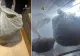 Captură record în Satu Mare: Doi dealeri au fost prinși în timp ce încercau să vândă 1 kg de canabis