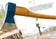 Copacul pe care NU ai voie să-l tai în România. Legea interzice total asta: amendă uriașă