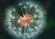 Horoscop 11 iunie 2024. Zodiile care vor primi daruri neașteptate