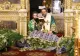 De ce trebuie să aduni astăzi frunze de nuc și de tei. Cum să le folosești pentru a ține bolile la distanță
