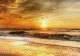 ALERTĂ METEO. Cod ROȘU de caniculă, cu temperaturi de foc, cod PORTOCALIU de furtuni electrice și grindină - HARTA actualizată