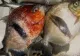 O nouă specie, înrudită cu piranha, a fost descoperită în Amazon. Specialiștii i-au dat numele maleficului Stăpân al Inelelor