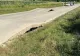 Drumurile groazei. Plăci de beton desprinse, pe o șosea din Gorj. O femeie a zburat cu mașina de pe carosabil