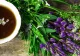 Planta care te scapă de varice. Rețeta pe care o recomandă fitoterapeuții, accesibilă oricui