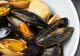 Pescuitul de scoici și rapane în Marea Neagră poate fi reluat. Nivelul biotoxinelor marine este "nedetectabil"