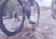 O femeie a murit după ce a căzut de pe bicicletă într-un canal de colectare a apei! Caz tulburător în județul Timiș
