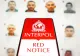 „Red Notice” - aplicația pentru fugari de la Interpol, sabotată de hackeri din Moldova, cu legături strânse în Rusia