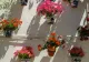 Cum se curăță corect florile ofilite de mușcate. Sfaturi de la cei mai buni grădinari