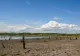 Cod galben de caniculă, cele mai noi date de la meteorologi. Vremea se schimbă semnificativ în următoarele zile - HARTA